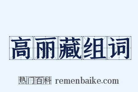高丽藏组词是什么意思的图片